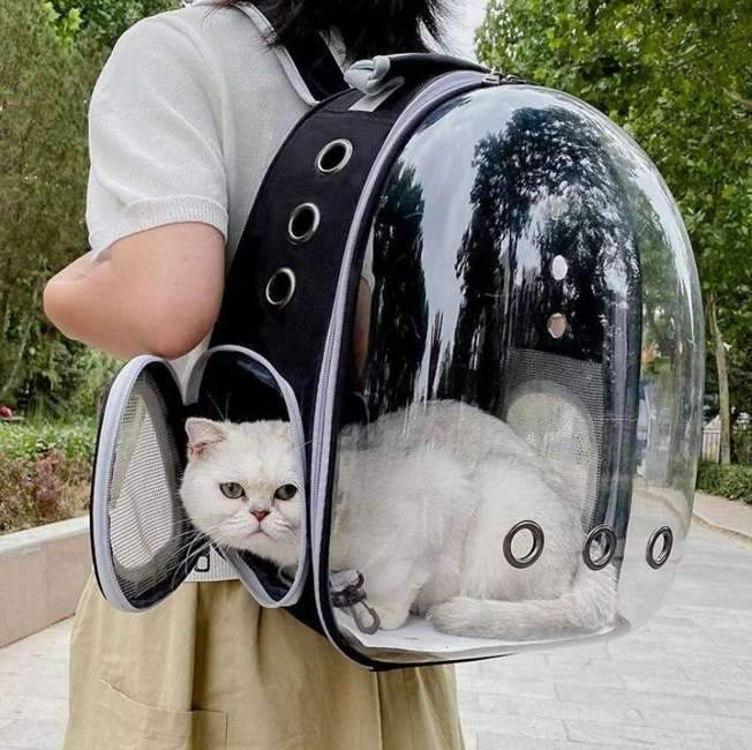 Mochila de Transporte Transparente para Pet