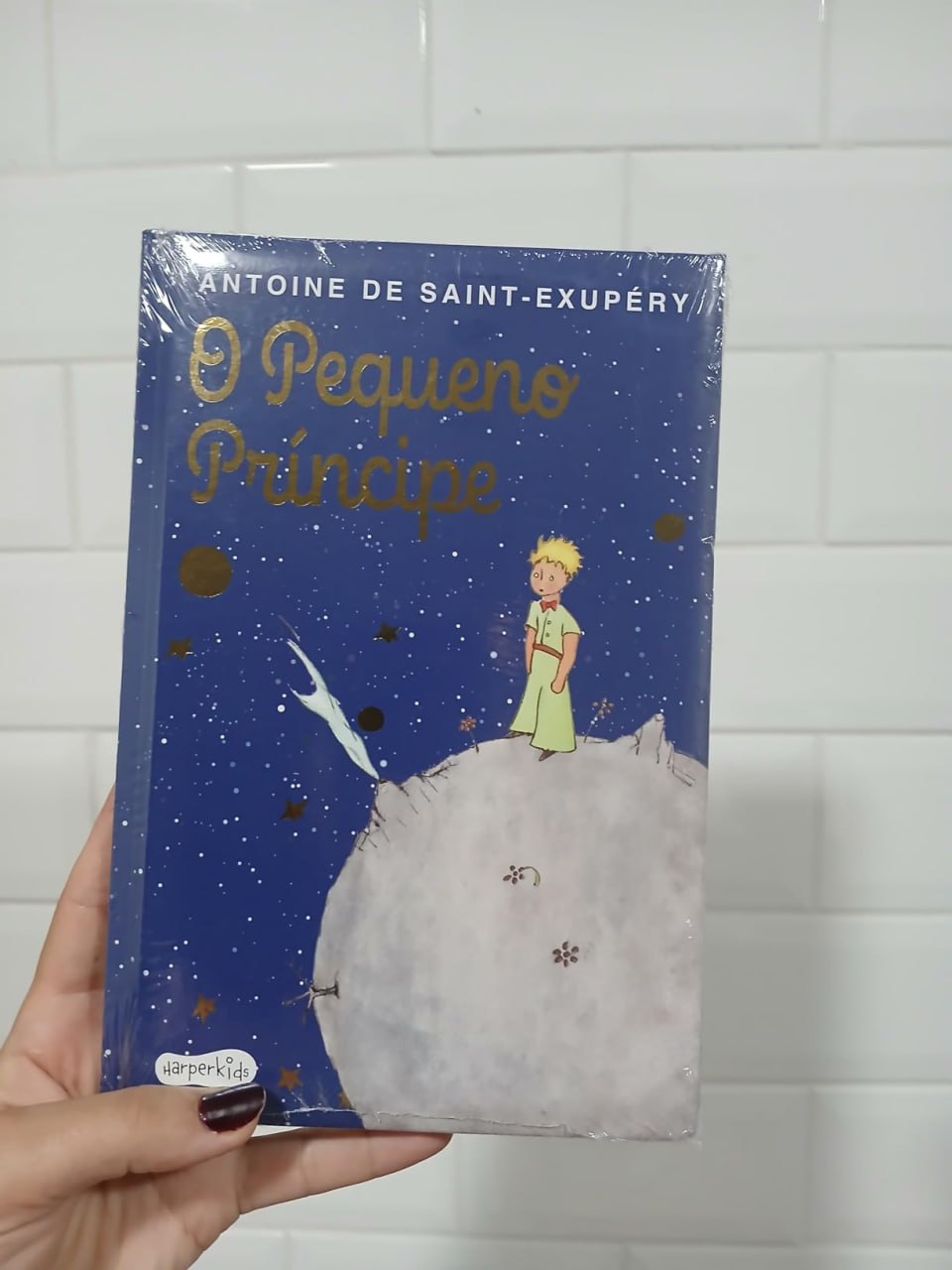 O Pequeno Príncipe Edição de Luxo Almofadada