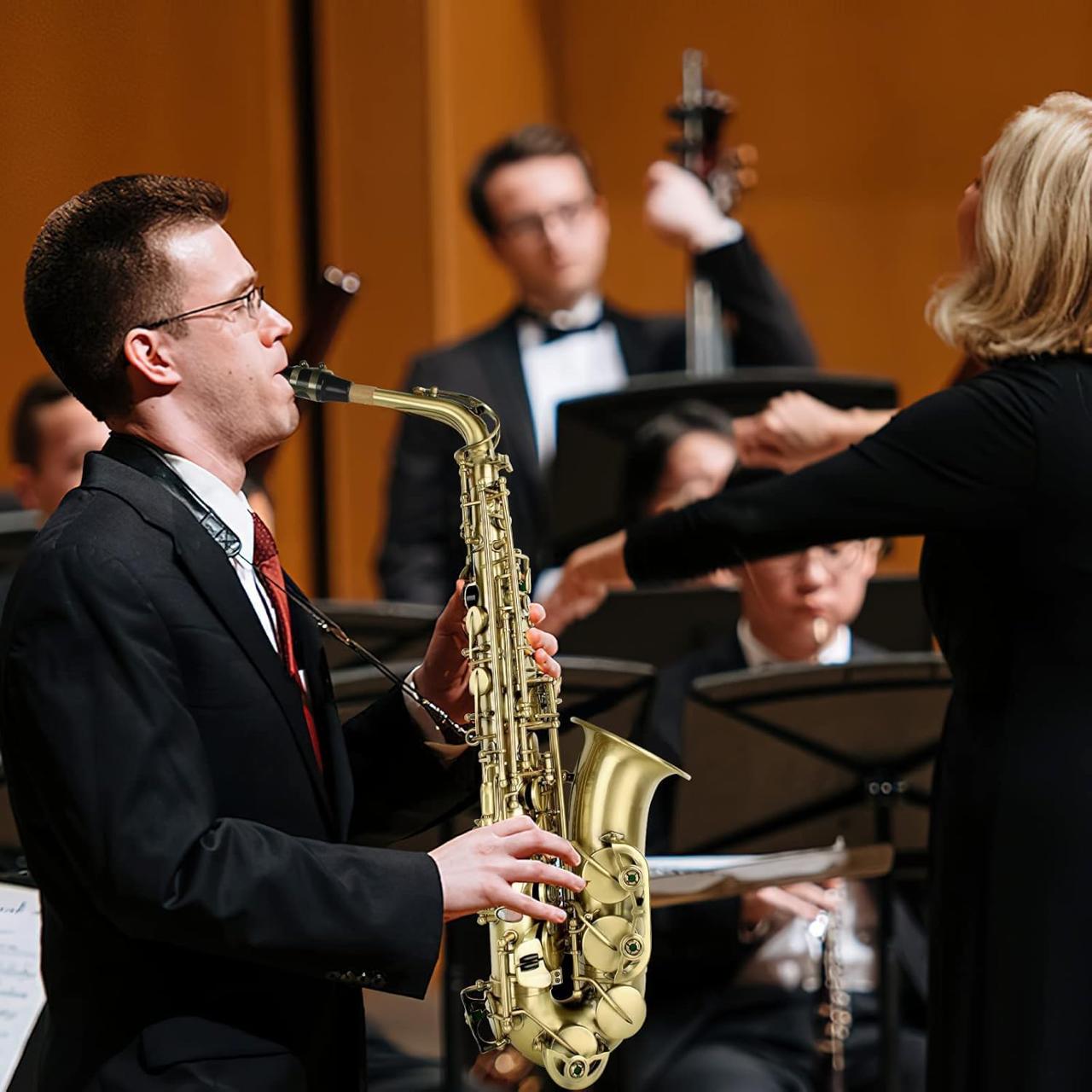 Saxofone Alto VEDO em Mi Laca Dourada Nível Profissional