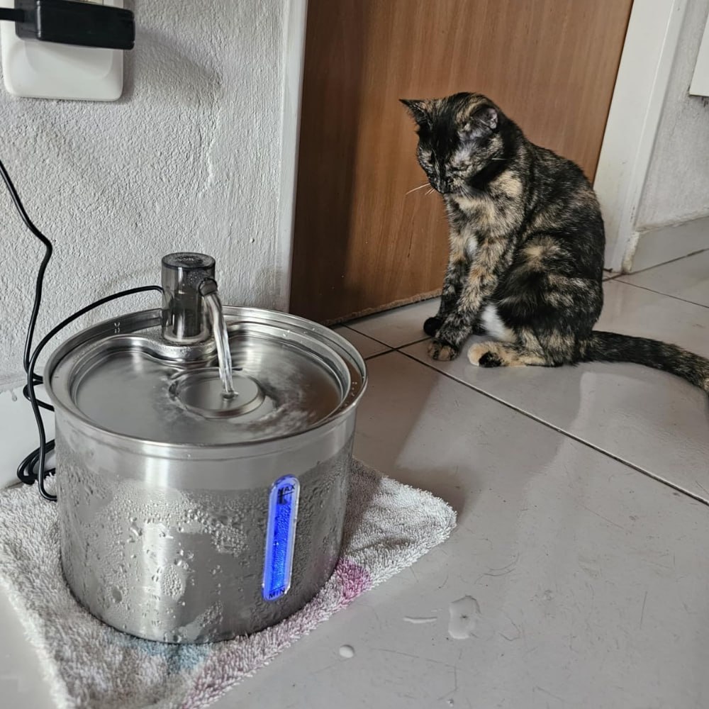 Bebedouro para Gatos Inox 3L