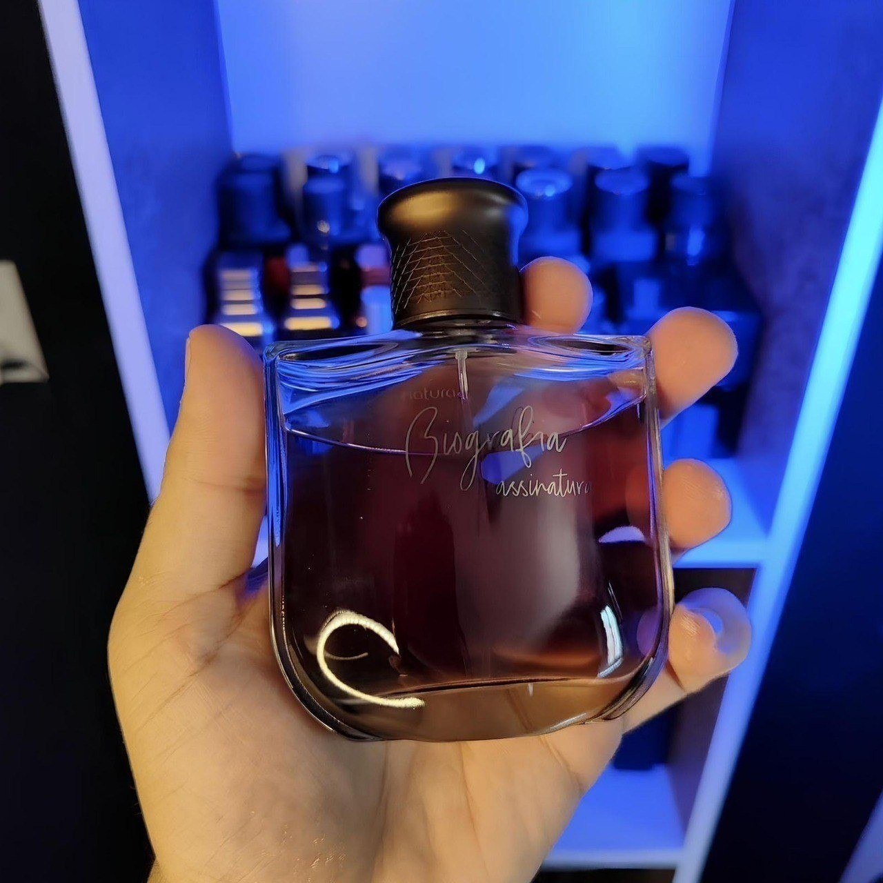 Perfume Natura Biografia Assinatura EDT 100ml