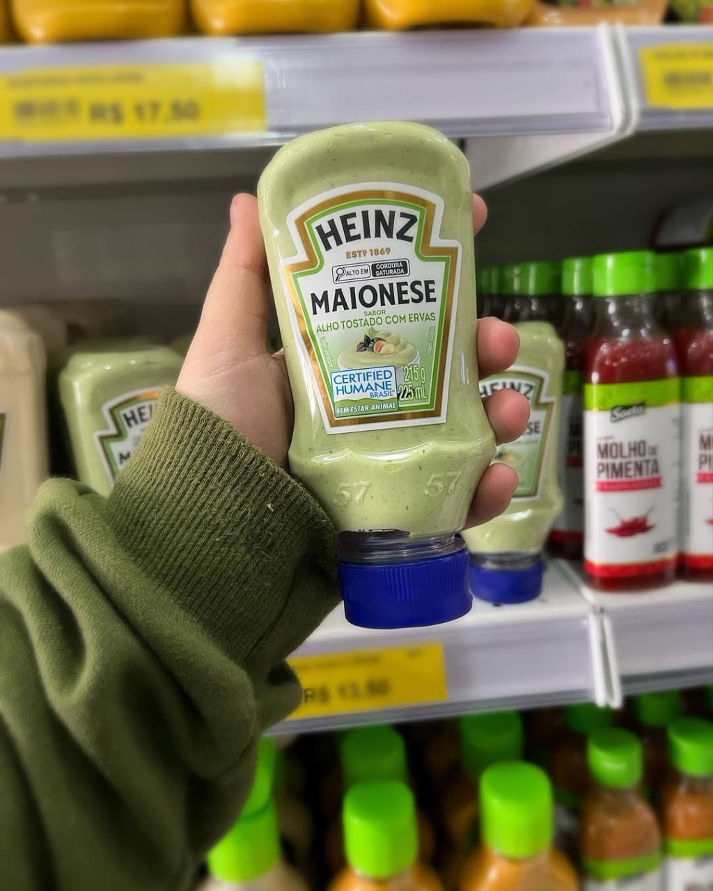 Maionese Heinz Alho Tostado com Ervas 215g