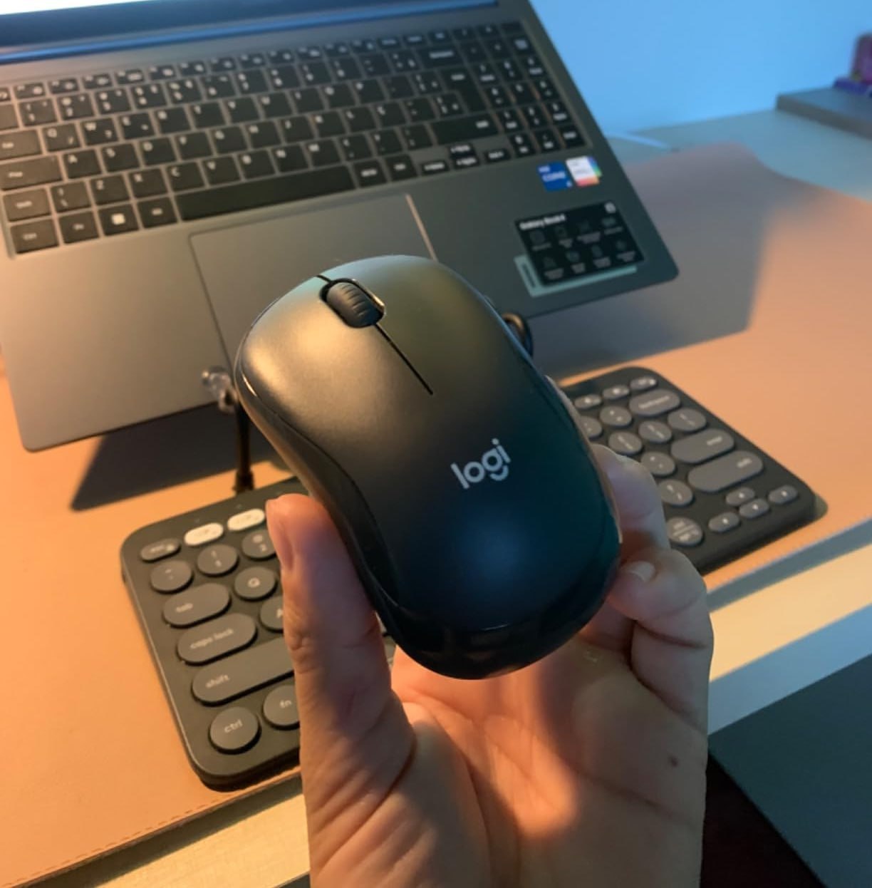 Mouse Sem Fio Logitech M240 Bluetooth