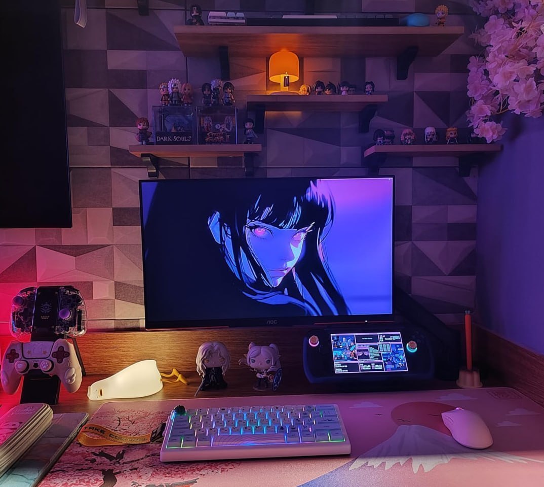 Monitor Gamer AOC Destiny 24,5" LED 240Hz